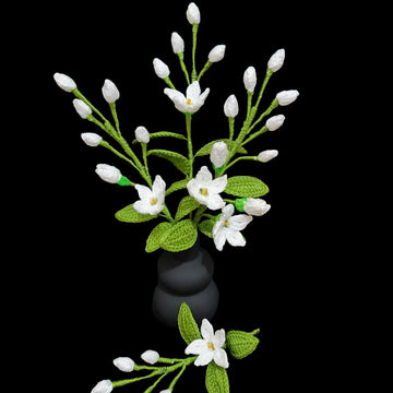 Jasmine flowers
