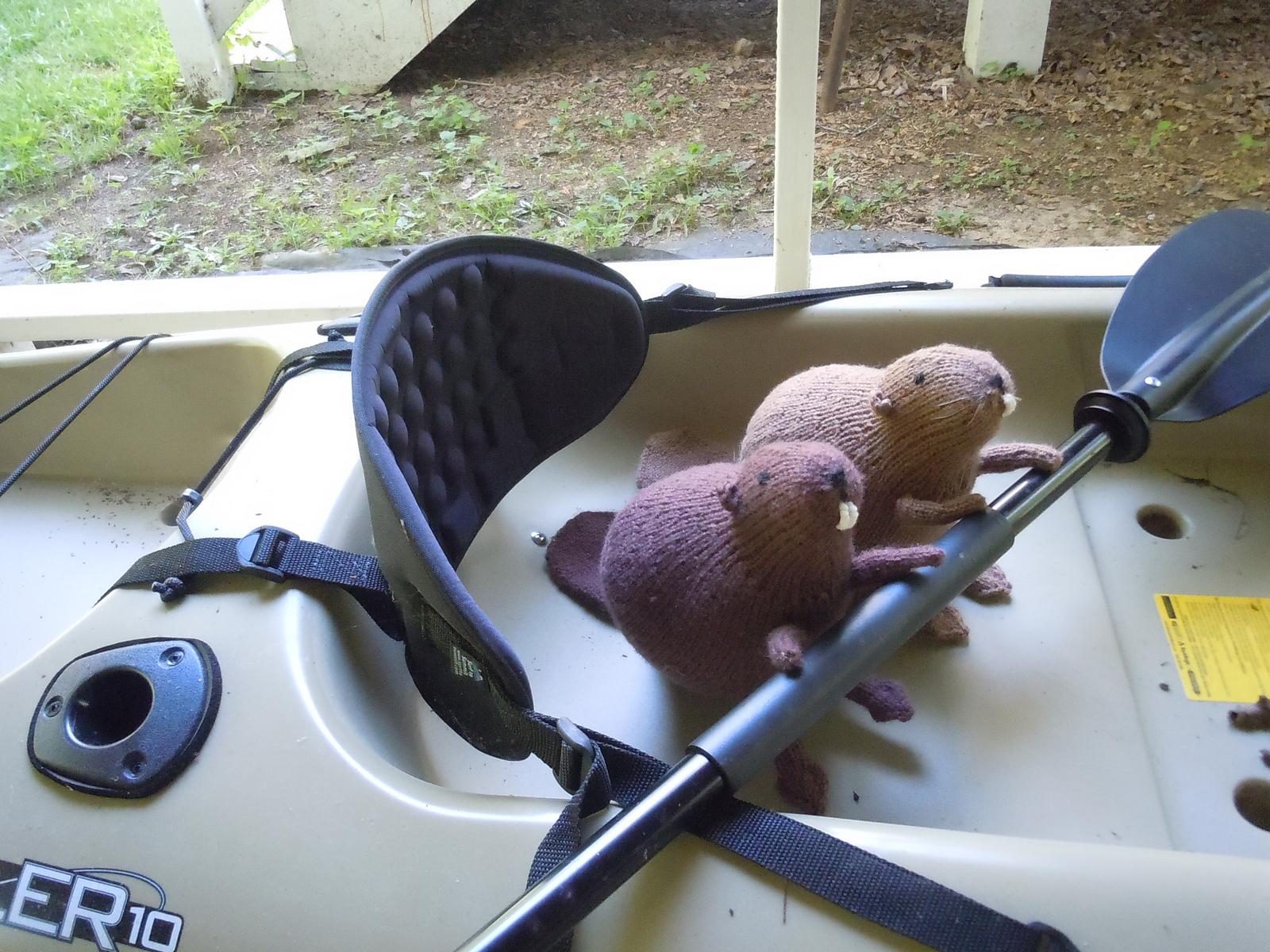 Liam's Beaver