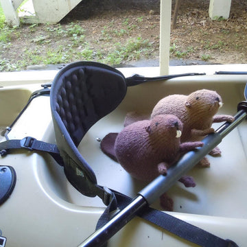 Liam's Beaver