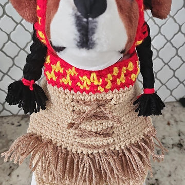 Indian Pet Bandana and Hat