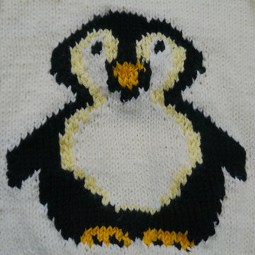 Penguin Sweater and Hat
