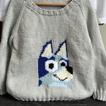 Bluey toddler jumper