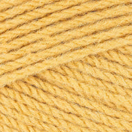 Maize (0692)