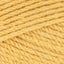 Maize (0692)