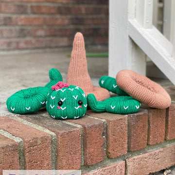 Cactus Stacking Ring Toy