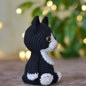 Tuxedo cat