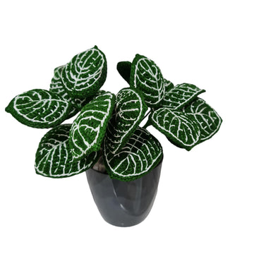 Crochet Nerve plant/Fittonia