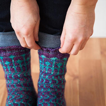 Heavenly Shades Socks