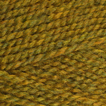 Gorse (3743)