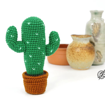 Desert Cactus