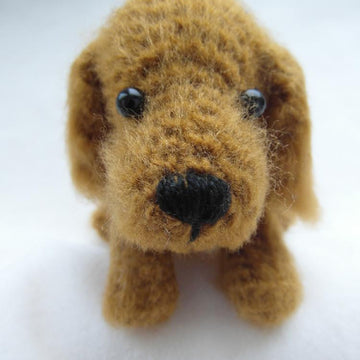 Cocker Spaniel