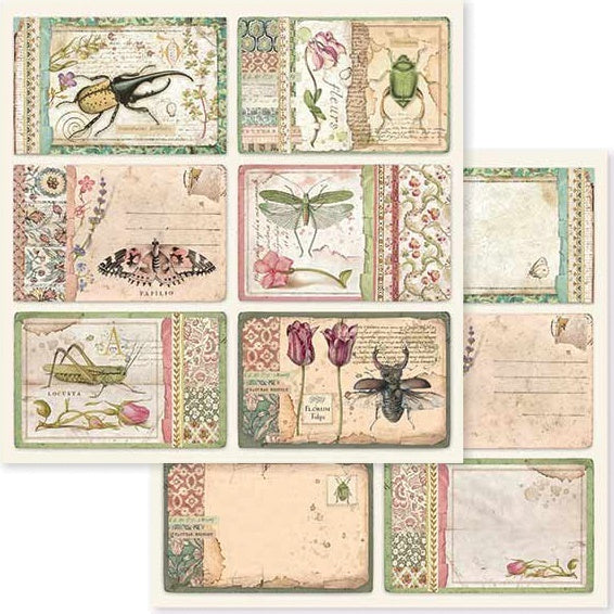 Stamperia Intl Stamperia Double-Sided Cardstock 12"X12" 10/Pkg - Spring Botanic Cards