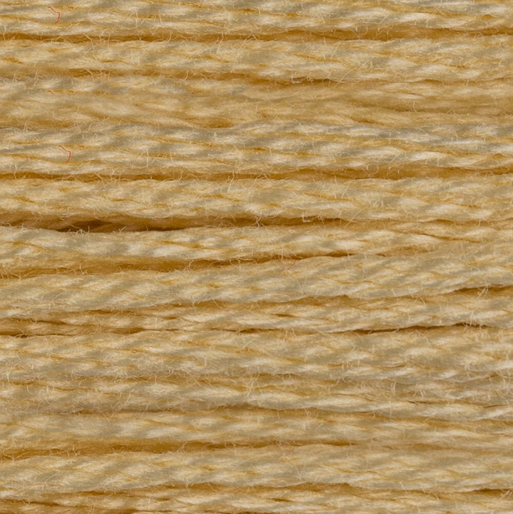 DMC Stranded Cotton - Neutrals