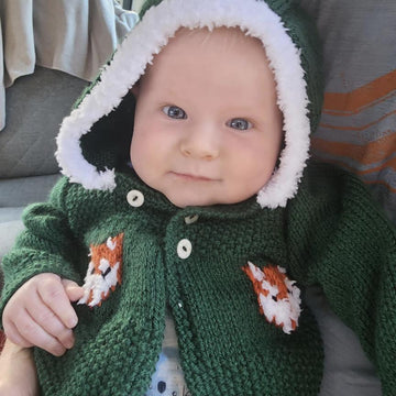 Fox Hoodie