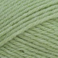 Summer Lime (260)