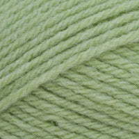 Summer Lime (260)
