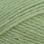 Summer Lime (260)