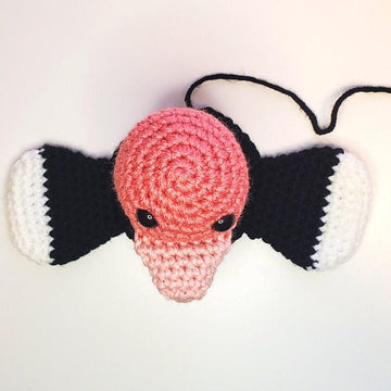 Ophelia the Ostrich