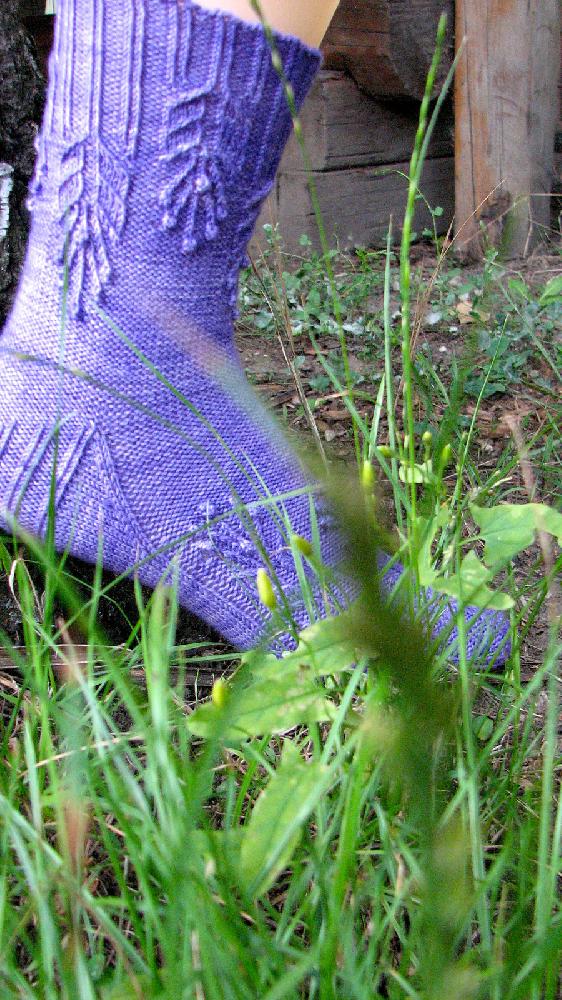 Molly's Socks
