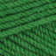 Farn (5689)