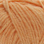 Pumpkin (276)