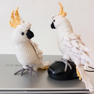 Cockatoo Parrot