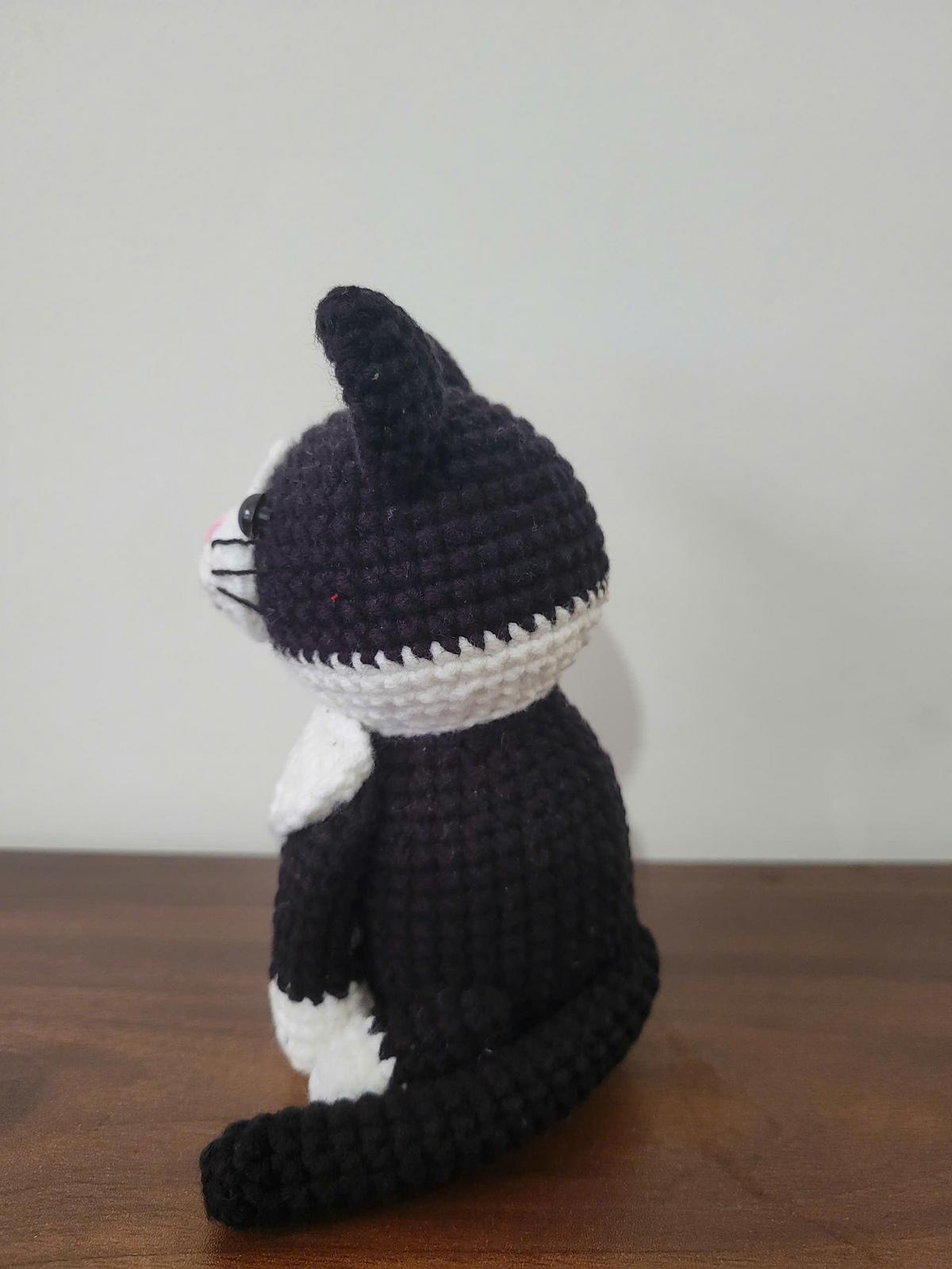 Tuxedo Cat