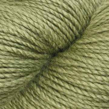 Iguana (58)