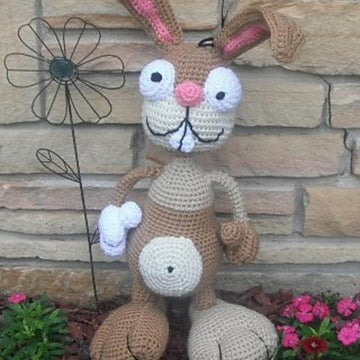 Jack the Rabbit
