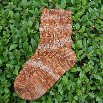 Ekollon Sock