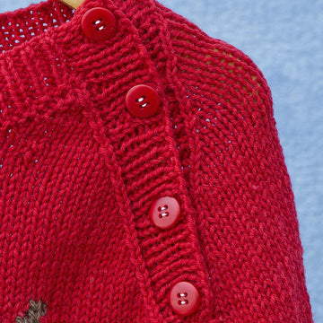 Rudolph the Reindeer Raglan Sweater P178