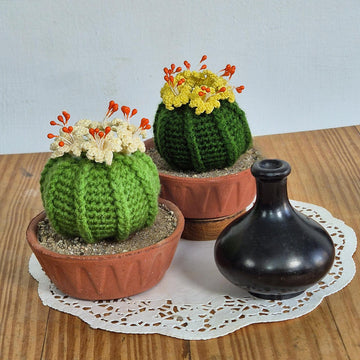 Ball cactus with flower