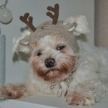Reindeer dog hood, Crochet Pattern PDF, Size: XS for small dog. Language - English
