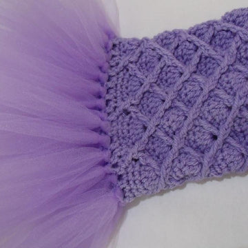 Tutu Tube Dress and Headband