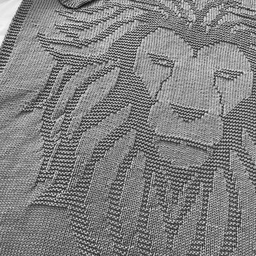 Lion Blanket