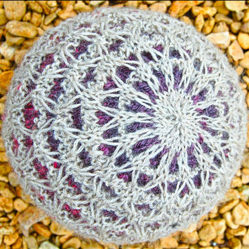 The Daughter Hat