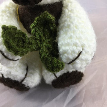 Kiwi The Rare White Koala
