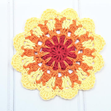 Sunshine Coasters
