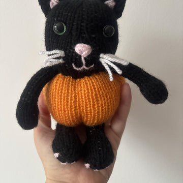 Pumpkin kitty