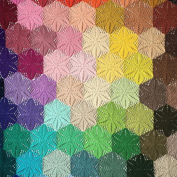 Atty's Anemone blanket