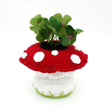 Mushroom - Lucky Charm