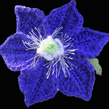 Collection of Clematis crochet