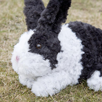 Odie the Bunny