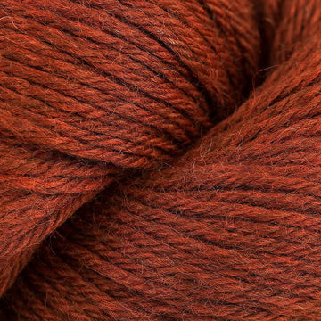 Japanese Maple (2435)