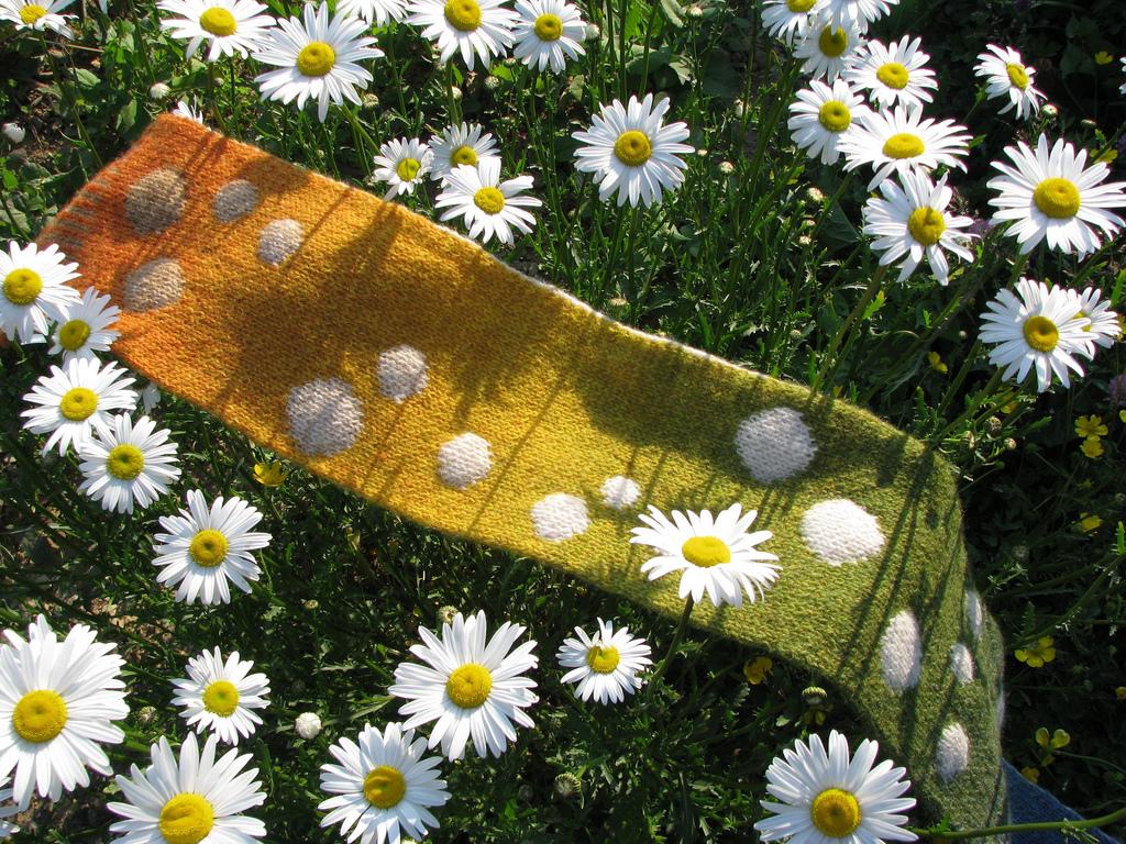 Bubbles Scarf 492
