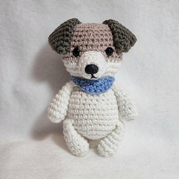Jack Russell Terrier Dog
