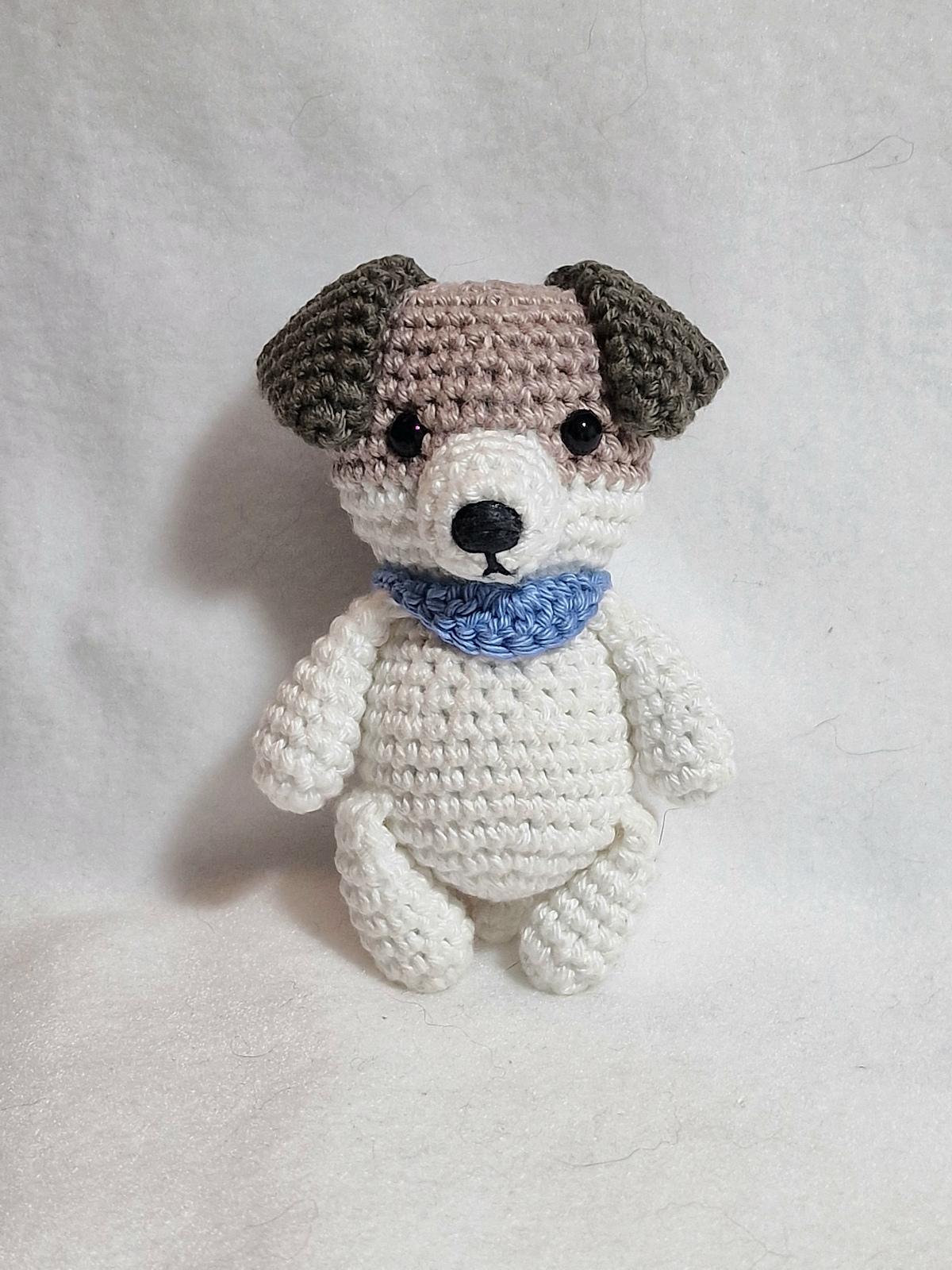 Jack Russell Terrier Dog