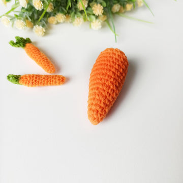Little carrot, amigurumi food pattern