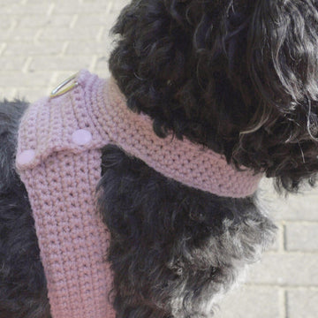 Crochet Pattern Dog Harness (for small dogs)