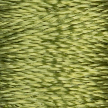 Maidenhair (521)